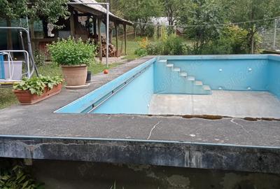 Casa pe Grigore Ureche 400 m patrati,10 ari de teren,piscina,anexe - 2