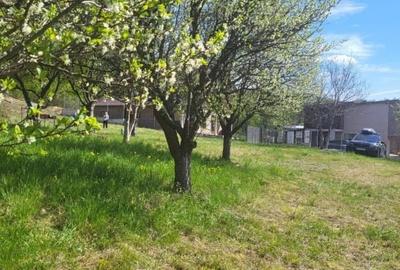 Teren Construcții intravilan de 1514 mp, în Est - 5