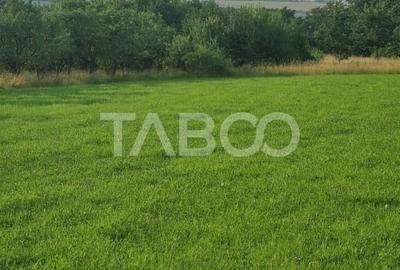 Teren pretabil cabana sau gradina 1670 mp zona deosebita Sibiel - 1