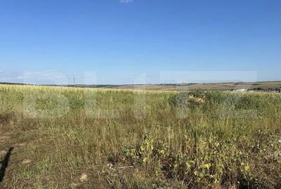 Teren de 11500 mp, în Central