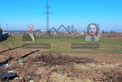 Teren Statia Meteo Balcescu/ 2 loturi de 5000 mp /Tecuci - 3