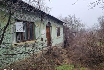 Casă cu 2 camere cu Teren 775 Mp în Dragodana - 3