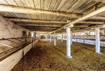 Fermă Mândruloc 2,5 ha - 5