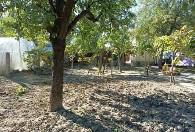 Casă cu 4 camere în Girocului - 5