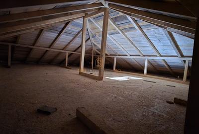 Vila individuala, 3 camere, 330 mp teren, finisaje moderne, Berceni,IF - 12