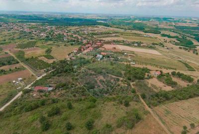 Teren de 3995 mp, în Săldăbagiu de Munte