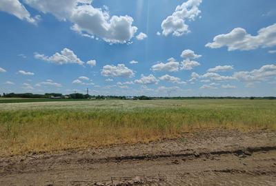 Teren de 62000 mp, în Popești-Leordeni
