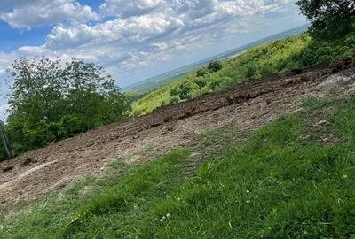 Oportunitate investi?ie Manastirea Dealu - 1