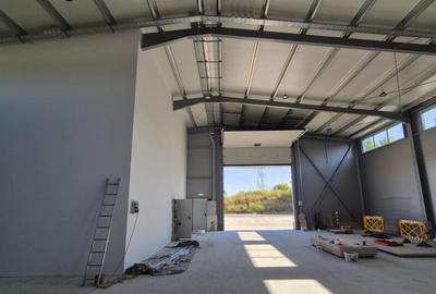 Hala Noua de Inchiriat | Pallady-Drum Intre Tarlale | 600MP - 22