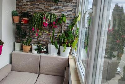Apartament cu 3 camere decomandat în Central - 3