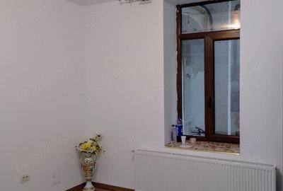 CI495 Apartament istoric Parter+Demisol,renovat,Piata Traian - 17