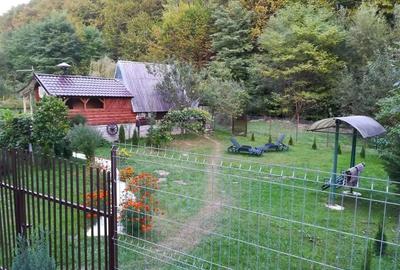 Iaz de vanzare in Apuseni- cazare, agrement si pescuit la DN74
