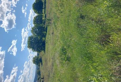 Teren intravilan, in Criseni - 3