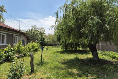 Casă cu 4 camere în Platonești - 4