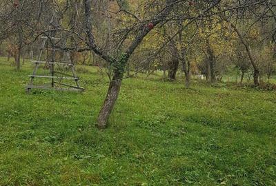 Teren de 3560 mp, în Mușătești - 5