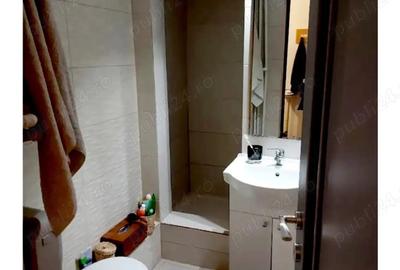 Inchiriere 3 camere Coposu - 2