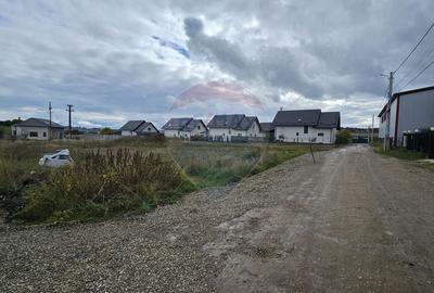 Teren intravilan 720mp Lisaura / Ipotesti, Suceava - 2