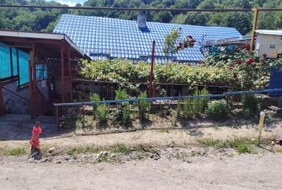 Casă cu 2 camere în Triaj - 4