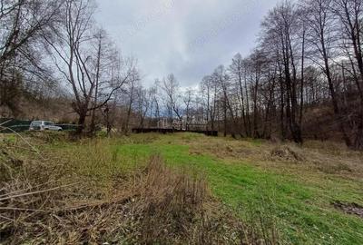 Resita, Teren Drept Intravilan, Langa Prau si Drum, 1308 Mp., 15 Euro Mp., Renk - 8