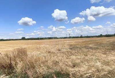 TEREN COCOSESESTI//INTRAVILAN - 2