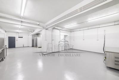 Casă individuală cu 17 camere cu Canalizare în P-ța Alba Iulia - 15