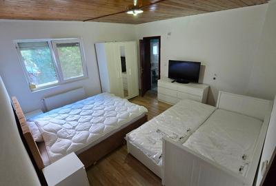 Casa de vacanta cu 2 apart. independente (8 camere) in Poiana Tapului - 4