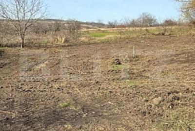 Teren de 7650 mp, în Breazu
