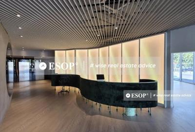 Spațiu comercial, de 6,323 mp, în Victoriei - 2