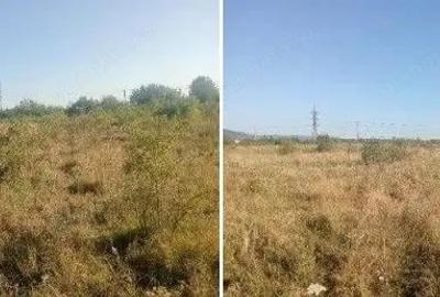 Targu Neamt, Punct Manesti, cota parte 1/2, ID: R2759104 - 6