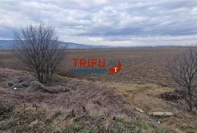 Teren de 1600 mp, în Industrială - 4