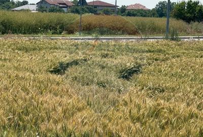 Teren ideal pentru dezvoltare mixta acces A0, Vadul Anei/ Branesti - 4