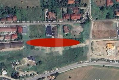 Teren de 5600 mp, în Cetate