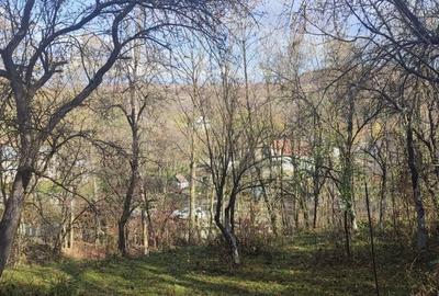 Teren de 3462 mp, în Piatra - 8