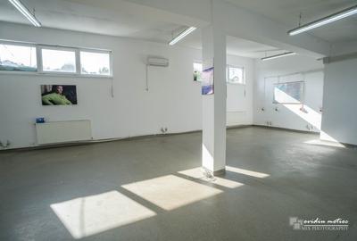 Hale in zona Calea Baciului - 11