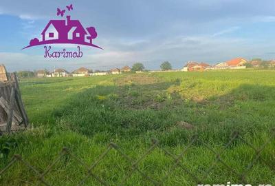 Casa in localitatea Ianosda - 1