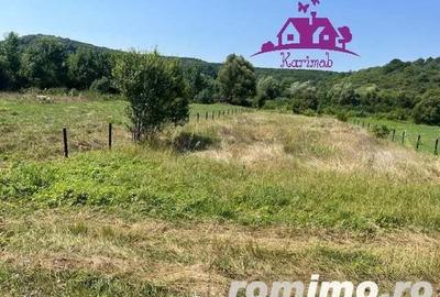 Teren intravilan Hidiselul de Sus - 8