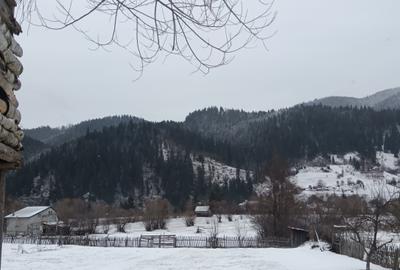 Teren Construcții intravilan de 600 mp, în Neagra - 1