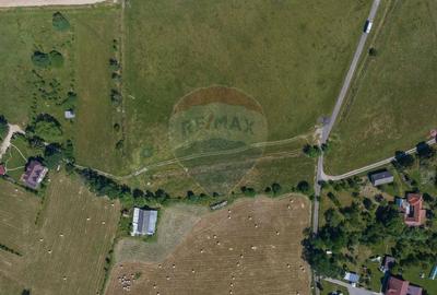 Teren Bran -Sohodol, Strada La mesteceni, 6900mp - 10