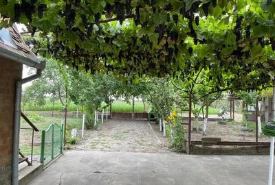 Casă cu 6 camere în Jimbolia - 6