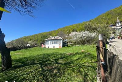 Teren de 1002 mp, în Valea Mare - 16