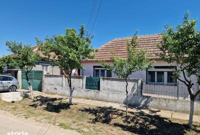 Casă cu 6 camere cu Teren 4728 Mp în Mădăras - 14