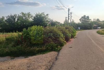 Se vinde teren 2150 mp in Teisori Giurgiu - 14