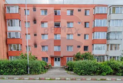 Apartament 2 camere, decomandat, parter + beci + 2 parcari =74,000 - 10