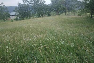 Teren Construcții extravilan de 2695 mp, în Exterior Est - 3