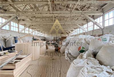 Teren de 5000 mp, în Agăș - 2