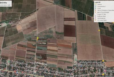 Teren Construcții intravilan de 10000 mp, în Valu lui Traian