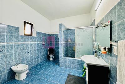 Casă individuală cu 3 camere cu Canalizare în Șura Mare - 16