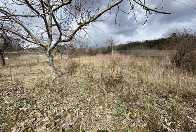 Teren intravilan in suprafata de 2000 mp, zona Episcopiei - 3