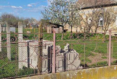 Spațiu comercial, în Carani - 3