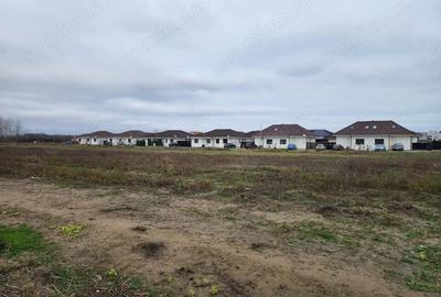 Teren de 530 mp, în Bucovăț (Remetea Mare) - 3